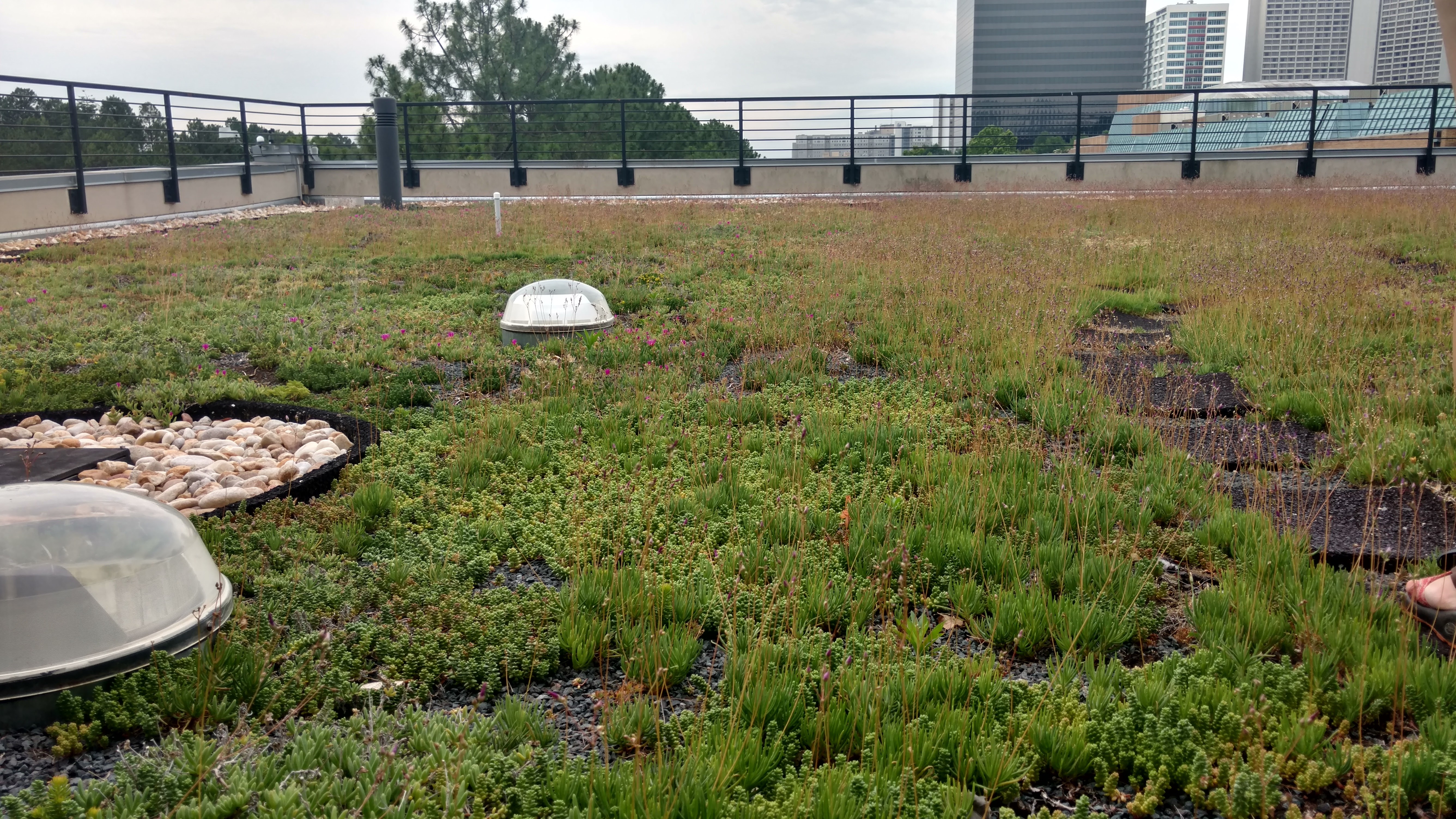 Stormwater and Green Infrastructure